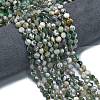 Natural Tree Agate Beads Strands G-K389-B07-01-2