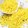 Baking Paint Glass Seed Beads SEED-H002-I-A502-1