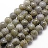 Natural Labradorite Bead Strands G-G735-29-6mm-1