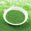 MIYUKI Round Rocailles Beads X-SEED-G007-RR2423-2