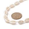 Natural Cowrie Shell & Synthetic Turquoise Braided Beaded Necklace for Women NJEW-JN04253-01-3