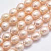 Natural Cultured Freshwater Pearl Beads Strands PEAR-K003-26C-01-1