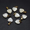 Shell Charms X-SSHEL-E564-26G-1