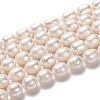 Natural Cultured Freshwater Pearl Beads Strands PEAR-L033-89-01-1