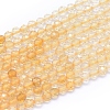 Natural Citrine Beads Strands G-I279-E10-1