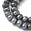 Dyed Natural Cultured Freshwater Pearl Beads Strands PEAR-A006-29A-4