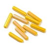 Electroplate Glass Beads LS-GLAA-D024-01B-2