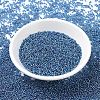 MIYUKI Round Rocailles Beads X-SEED-G007-RR1025-2