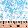 Glass Bugle Beads SEED-S032-10A-163-4