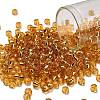 TOHO 6/0 Round Beads SEED-XTR06-0022B-1