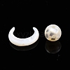 Natural White Shell Beads Set SSHEL-N032-51-B01-3