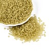 (Repacking Service Available) Glass Seed Beads SEED-C017-3mm-M2-6