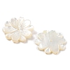 Natural White Shell Carved Beads SSHEL-Z002-03-2