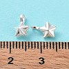 925 Sterling Silver Charms STER-E069-02S-3