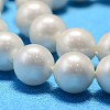Round Shell Pearl Bead Strands BSHE-L011-8mm-A013A-4