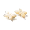 Natural White Shell Beads BSHE-Z008-02-3