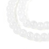 Baking Paint Glass Beads Strands DGLA-N015-4mm-01-3
