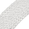 Transparent Glass Beads Strands X-GLAA-Z018-C16-1