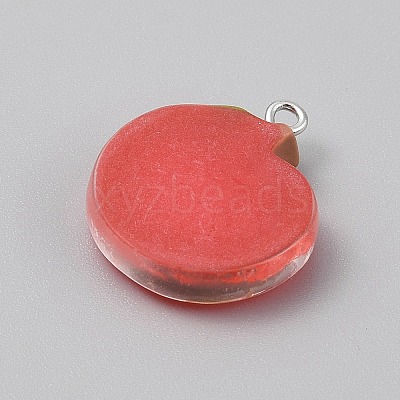 Opaque Resin Pendants RESI-CJC0029-001B-02-1