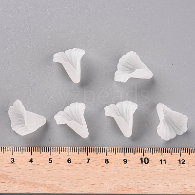 Transparent Acrylic Bead Caps PL551-1