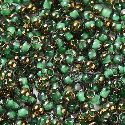 Glass Seed Beads X1-SEED-H002-B-D221-1