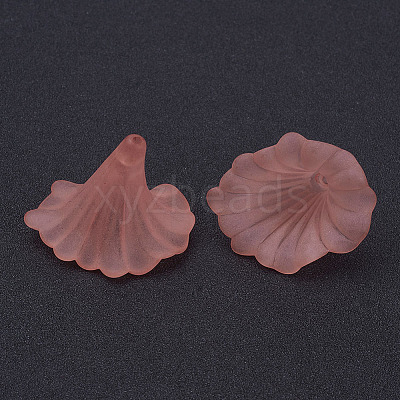 Transparent Acrylic Beads X-BSF796-C11-1