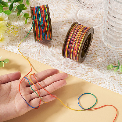 2 Rolls 2 Colors Segment Dyed Round Polyester Twisted Cords OCOR-TA0003-59E-1