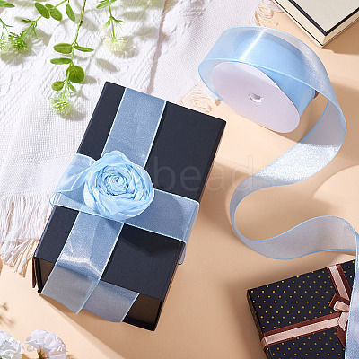 Polyester Organza Ribbon TAC0006-01B-1