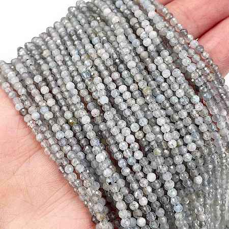 Natural Labradorite Beads Strands G-I341-11B-1