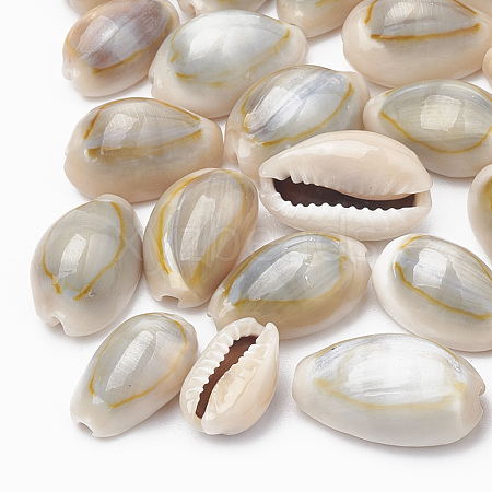 Cowrie Shell Beads X-SSHEL-T004-05-1