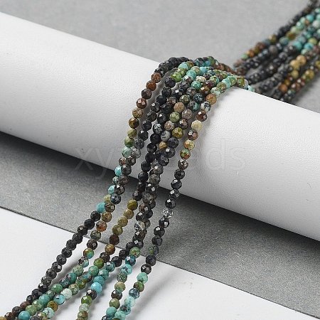 Natural HuBei Turquoise Beads Strands G-D080-A02-1