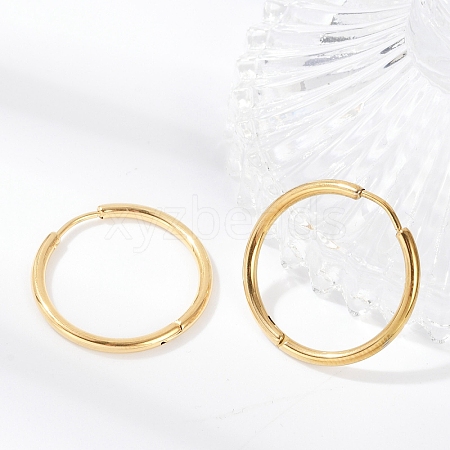 304 Stainless Steel Huggie Hoop Earrings EJEW-G272-02-20mm-G-1