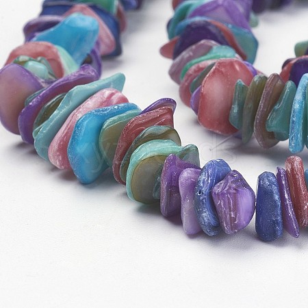 Natural Shell Beads Strands X-PBB226Y-4-1