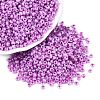 8/0 Ceylon Round Glass Seed Beads X-SEED-A011-3mm-150-1