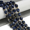 Natural Sodalite Beads Strands G-N342-57-2