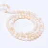 Natural Freshwater Shell Bead Strands SHEL-S253-01-2