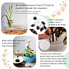 Plastic Flower Pin Frogs DIY-MB0002-03-4