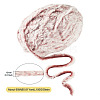 Super Bulky Imitation Fur Polyester Yarn OCOR-TAC0016-36E-3