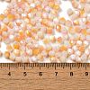 Baking Painted Glass Seed Beads SEED-C004-03H-4