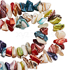 187Pcs Nuggets Chips Natural Shell Beads BSHE-SC0001-15-1