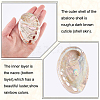 Natural Shell Display Decorations DJEW-WH0042-143D-3