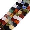 Natural & Synthetic Mixed Stone Beads Strands G-Q608-22-2