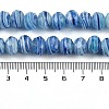 Handmade Lampwork Beads Strands LAMP-T007-13P-4