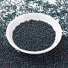MIYUKI Round Rocailles Beads SEED-G007-RR0362-2