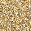 Plated Glass Bugle Beads SEED-S046-01A-22-3