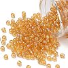 TOHO 6/0 Round Beads X-SEED-TR06-0162-1