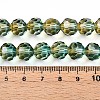 Baking Paint Transparent Glass Beads Strands DGLA-A035-T10mm-A08-5