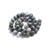 Natural Eagle Eye Beads Strands G-I281-02-4mm-5