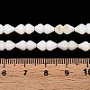 Natural Freshwater Shell Beads Strands SHEL-N036-02-4