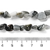 Natural Eagle Eye Stone Beads Strands G-P497-01C-52-5